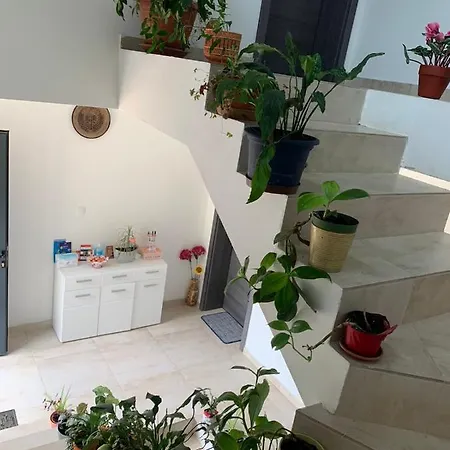 Iggy Apartment *