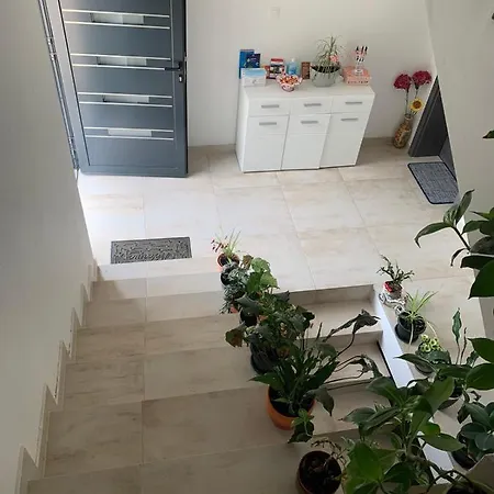 Iggy Apartment